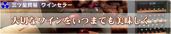�O�c�� ���C���Z���[